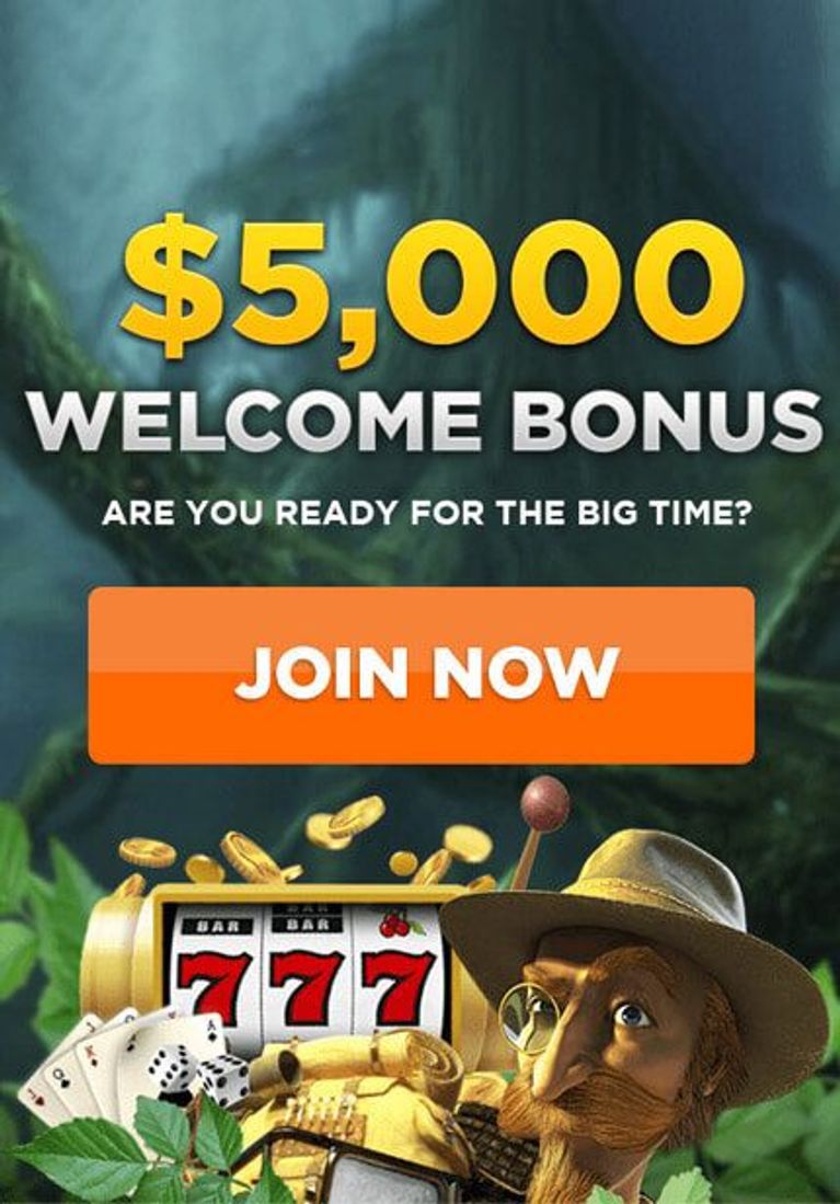 Wild Casino No Deposit Bonus Codes